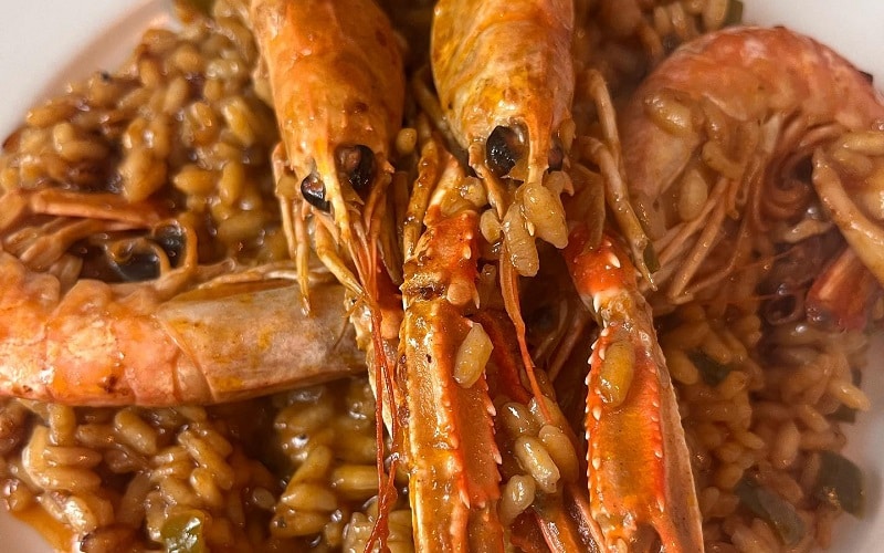 Top Tasty Foods You Can Try in Spain