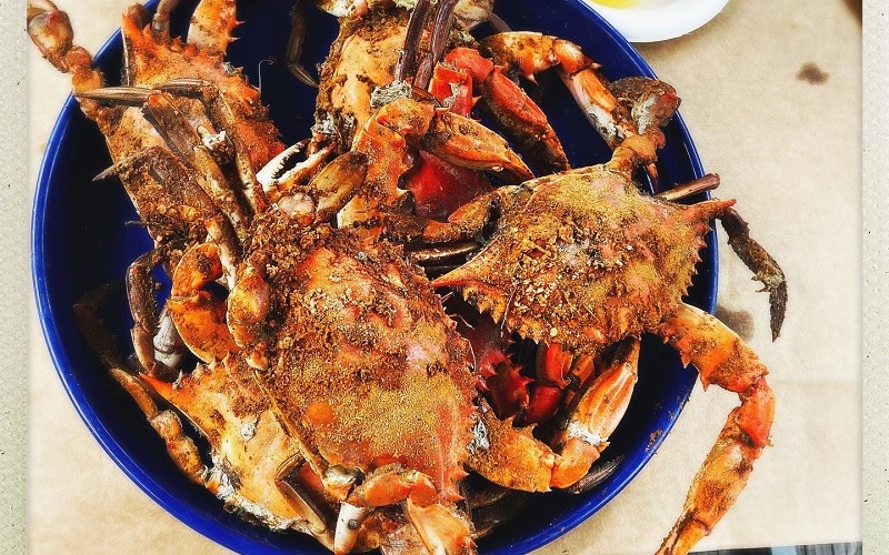 Chesapeake Bay Blue Crabs