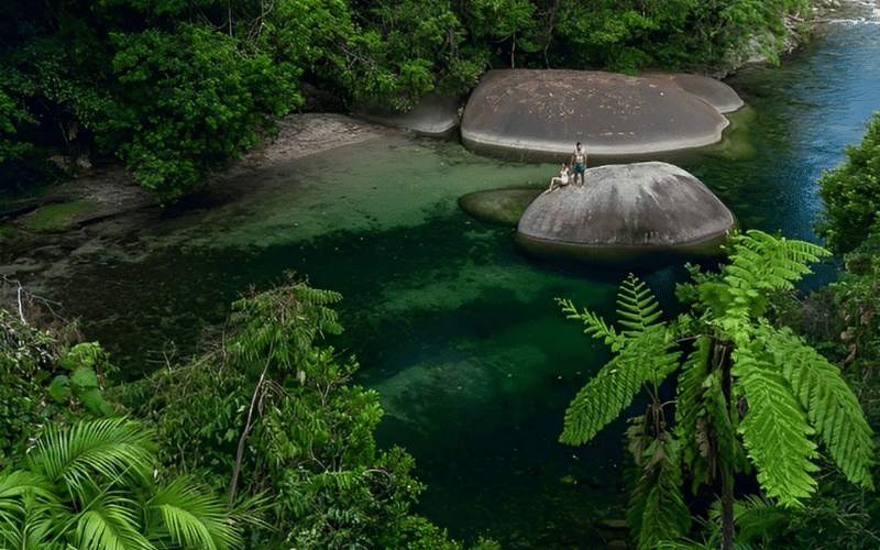 Visit the Daintree Rainforest