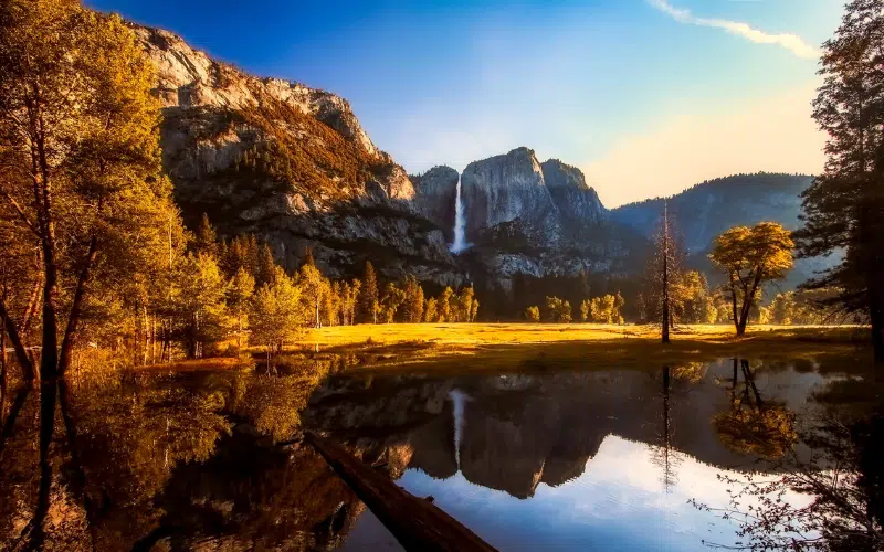 Immersing in Nature’s Symphony